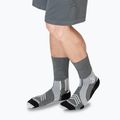 Шкарпетки X-Socks Run Expert Silk Merino Crew seal grey/light sand 6