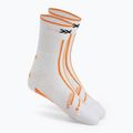 Кросівки для бігу Buty X-Bionic Terraskin X00/C x white/x black 8