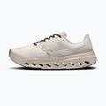 Кросівки для бігу чоловічі On Cloudsurfer Next ivory/silver 2