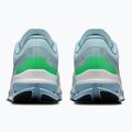 Кросівки для бігу чоловічі On Cloudflow 5 flurry/wash 4