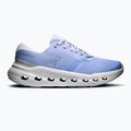 Кросівки для бігу жіночі On Cloudrunner 3 myrtle/platinum
