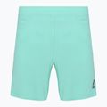 Шорти для бігу чоловічі SCOTT Endurance LT miami green