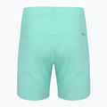 Шорти для бігу чоловічі SCOTT Endurance LT miami green 2