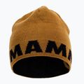 Шапка зимова Mammut Logo коричнево-чорна 1191-04891-7507-1 2