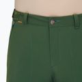 Чоловічі трекінгові штани Mammut Runbold woods 5