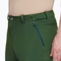 Чоловічі трекінгові штани Mammut Runbold woods 6