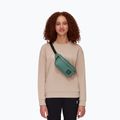 Барсетка Mammut Xeron Classic зелена 2810-00471-40236-120 7