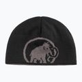 Шапка Mammut Logo steel black 2