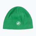 Зимова шапка Mammut Sublime pine