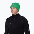 Зимова шапка Mammut Sublime pine 3