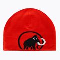 Шапка зимова Mammut Logo black 4