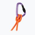 Карабін Mammut Classic HMS Screwgate screw gate/alpine calamint 2