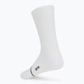 Шкарпетки ASSOS Equipe Spring Fall P1 white 2