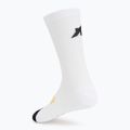 Шкарпетки ASSOS Spring Fall P3 white 2