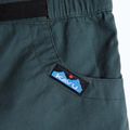 Шорти жіночі KAVU Chilli Chic green gables 3
