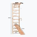 Драбина гімнастична RINAGYM SPR A+SLIDE 3