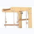 Драбина гімнастична RINAGYM SPR B+SLIDE 6