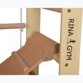 Драбина гімнастична RINAGYM SPR B+SLIDE 9