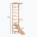 Драбина гімнастична RINAGYM SPR B+SLIDE 10