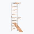 Драбина гімнастична RINAGYM SPR B+SLIDE
