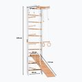 Драбина гімнастична RINAGYM SPR B+SLIDE 2