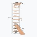 Драбина гімнастична RINAGYM SPR A+SLIDE 2