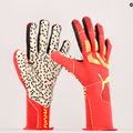 Рукавиці воротарські PUMA Future Z:ONE Grip 1 NC помаранчеві 041807 05 8