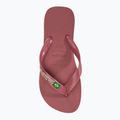 Шльопанці з логотипом Havaianas Brasil pau brasil 5