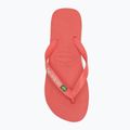 В'єтнамки Havaianas Brasil Logo tropical coral 5