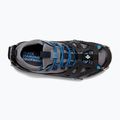 Льодоступи Black Diamond Access Spike Traction Device 6