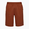 Шорти чоловічі Black Diamond Sierra burnt sienna 4