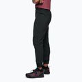 Штани жіночі Black Diamonds Technician Jogger black 3