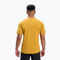 Футболка чоловіча Black Diamond Distance SS Tech Tee amber 2