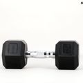 Гантель прогумована TREXO Hex HXD100 10 кг 9