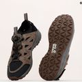 Взуття трекінгове чоловіче Jack Wolfskin Woodland 2 Hybrid Low коричневе 4051301 11