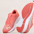 Кросівки для бігу  PUMA Aviator Profoam Sky 12 рожеві 376615 12 15