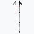 Палиці для скандинавської ходьби Masters Trekking Pole Summit Light червоні 01S4419