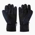 Рукавиці лижні чоловічі Colmar 5104R-1VC black/white/blackboa 2