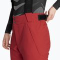 Штани гірськолижні чоловічі Colmar Sapporo-Rec english red 4