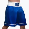 Шорти для тренувань Hayabusa Pro Boxing blue 2