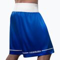 Шорти для тренувань Hayabusa Pro Boxing blue 3