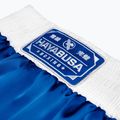 Шорти для тренувань Hayabusa Pro Boxing blue 5