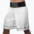 Шорти для тренувань Hayabusa Pro Boxing white