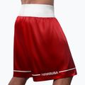 Шорти для тренувань Hayabusa Pro Boxing red 3