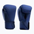 Рукавиці боксерські Hayabusa T360 Boxing blue