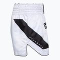 Шорти для тренувань чоловічі Hayabusa Core Fight white 3
