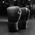 Рукавиці боксерські Hayabusa E1 Leather black 2