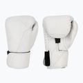 Рукавиці боксерські Hayabusa T360 Leather white