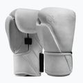Рукавиці боксерські Hayabusa T360 Leather white