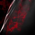 Шорти для тренувань чоловічі Hayabusa X UFC BJJ Grappling red 4